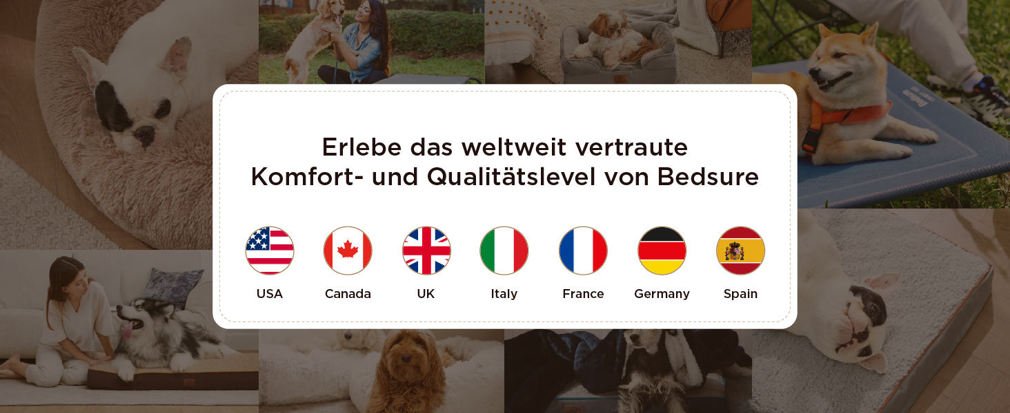 Der Text zeigt „Entete des webtech vertiegle“. Anzeige internationaler Flaggen, einschließlich der USA, Kanadas, Großbritanniens, Frankreichs und Deutschlands, in horizontaler Anordnung.