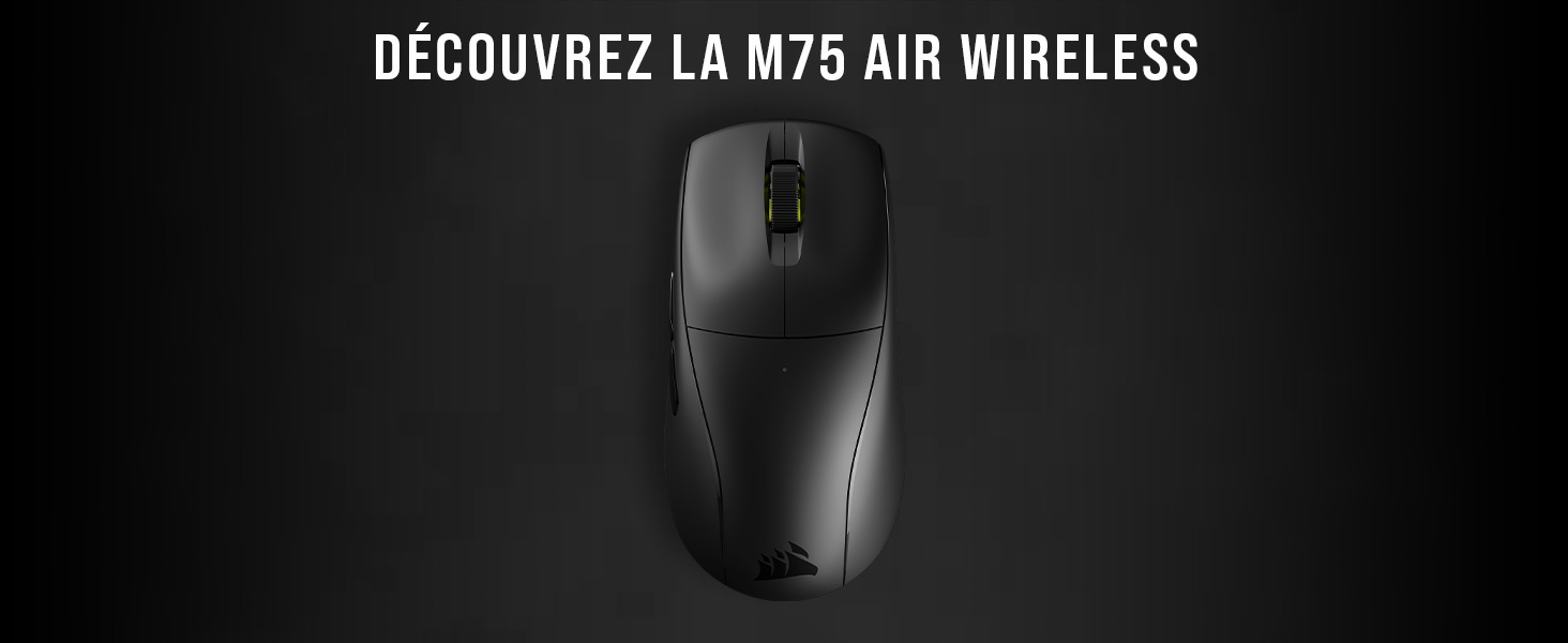 souris de jeu, souris sans fil, souris de jeu sans fil, souris de jeu