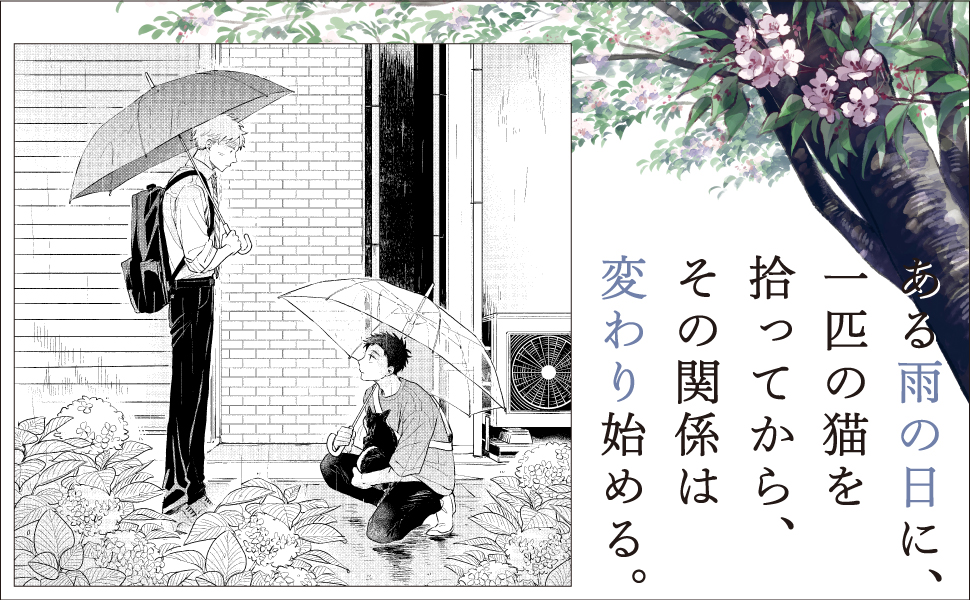 世襲制トライアングル / 煙たい話 セット Amazon.co.jp: 世襲制トライアングル 下 (ビームコミックス