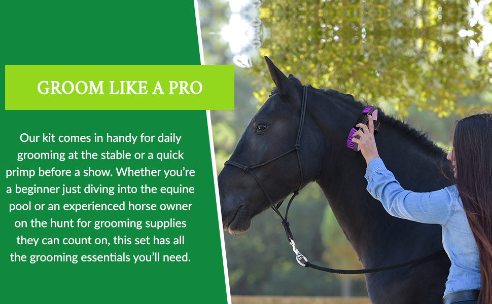 Lady brushing horse.