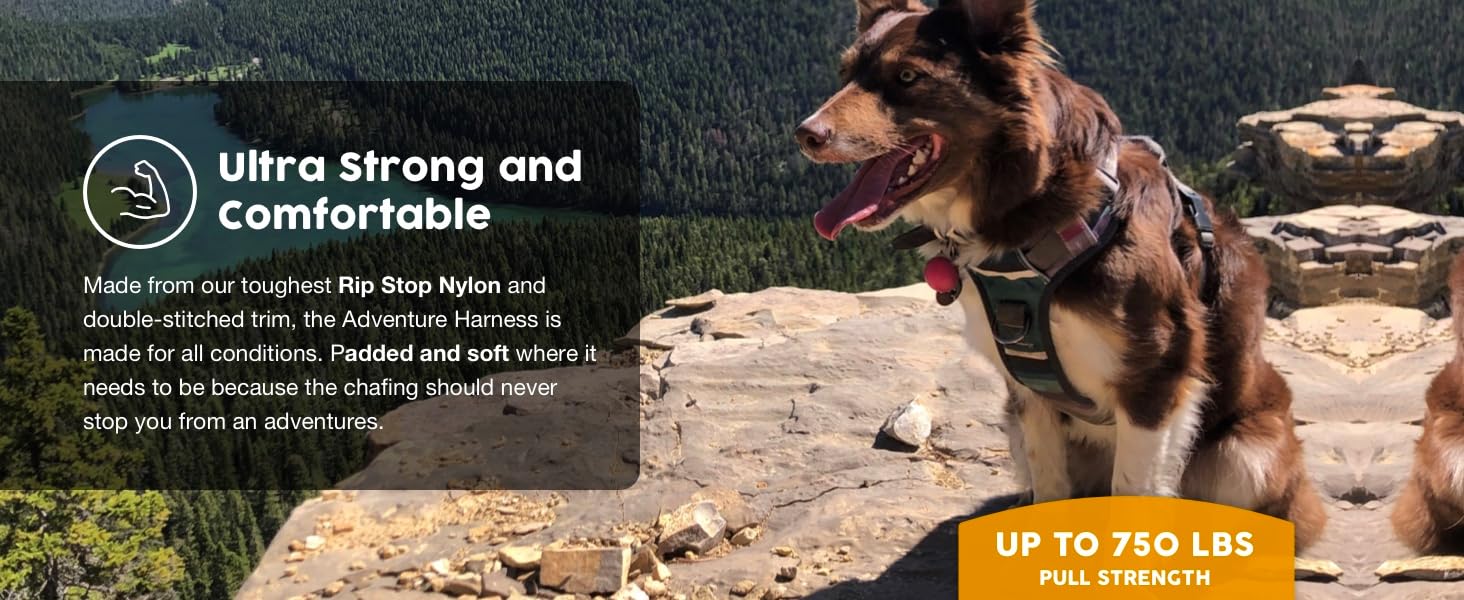 safe no pull dog training for your dog with front and back d-rings design, prevent damage to trachea