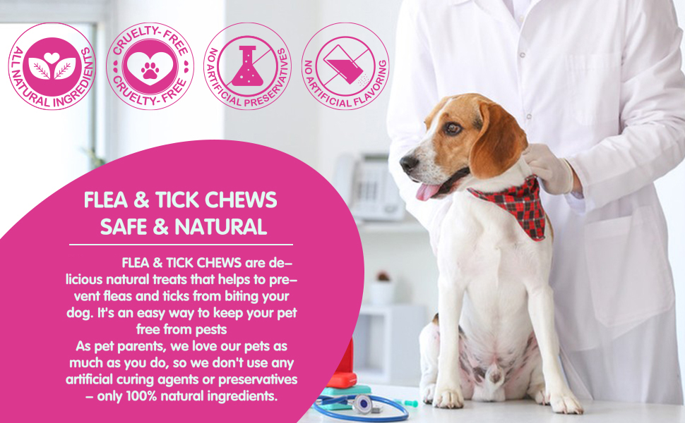 Flea and Tick Prevention for Dogs Chewables Pills, 120