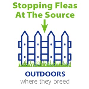 Stop Fleas At The Source, Outdoors Where They Breed