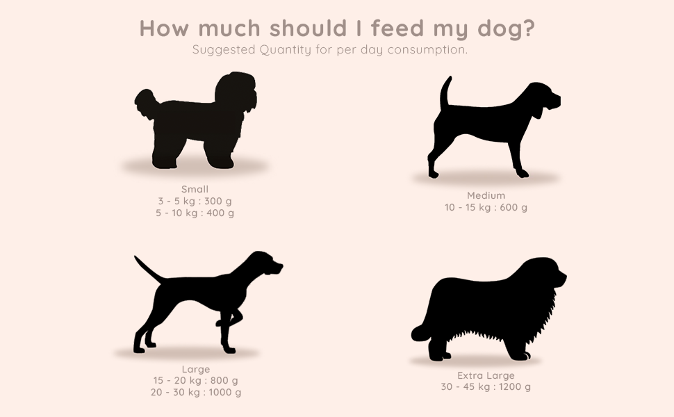 Feeding Guidelines