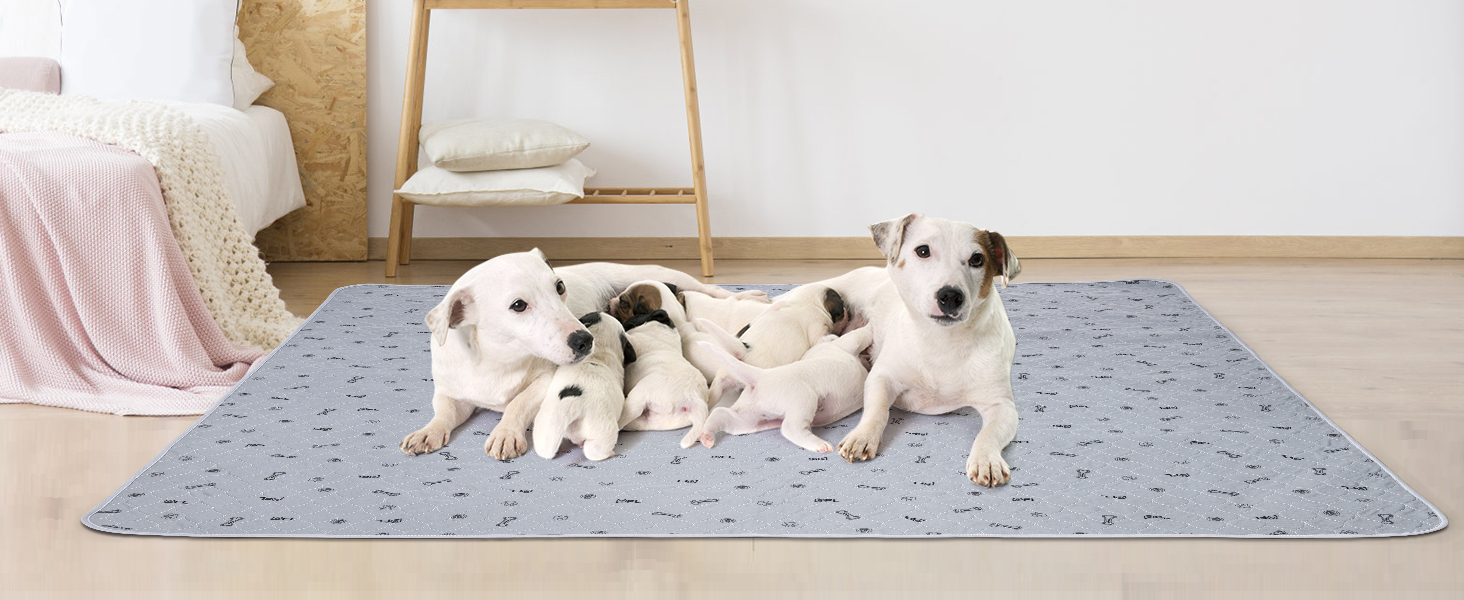 Washable Dog Pee Pad 168x125 Extra Large, Fast Absorbent Reusable Puppy