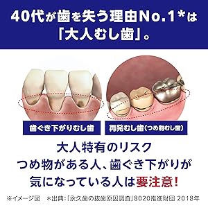 歯を失う理由NO1