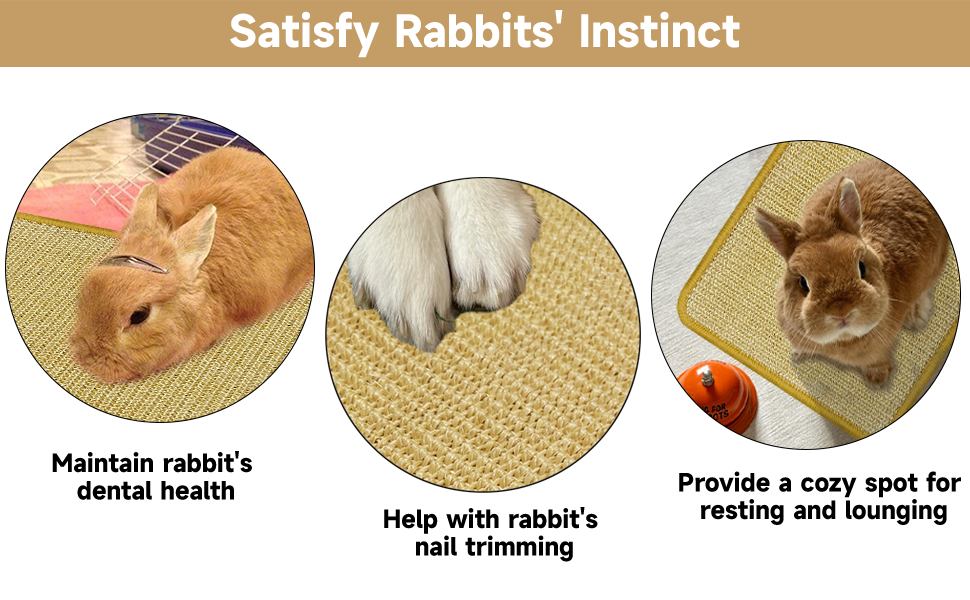 Rabbit Mat Purpose