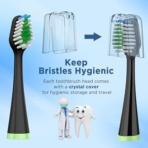 waterpik replacement brush heads