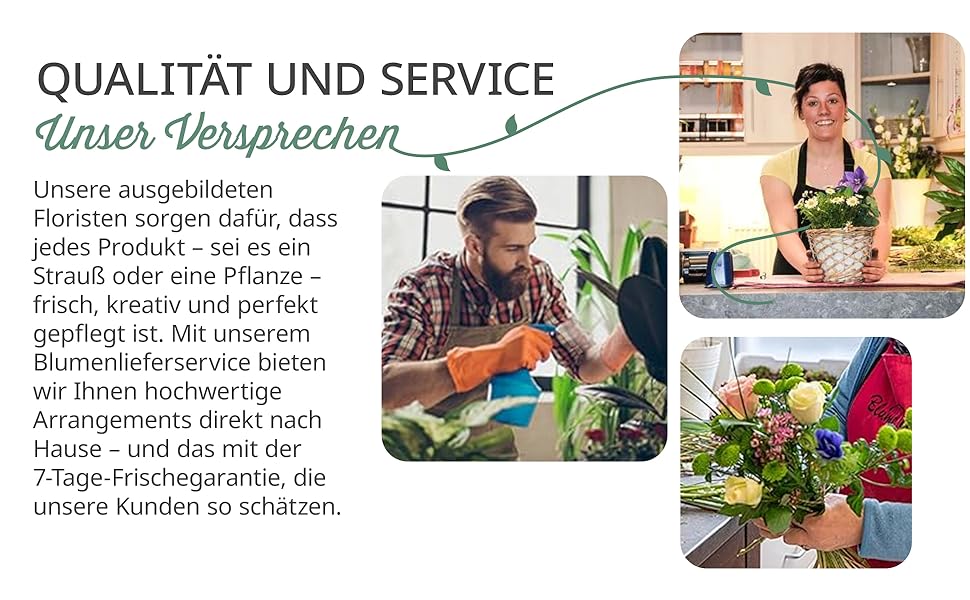 Der Text lautet „Bild 6“. Das Logo, das „JACKPAD“ in orange-weißem Design zeigt, scheint ein Markenzeichen aus der Automobilbranche zu sein.