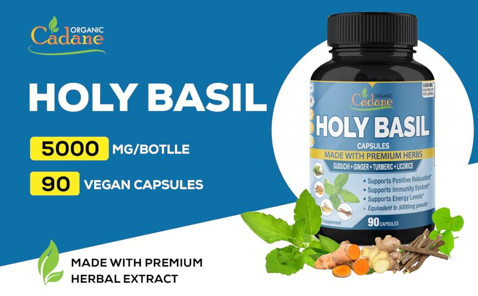 Holy Basil