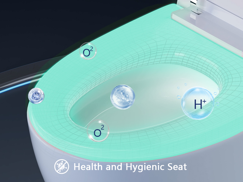 Smart Toilet, DeerValley Tankless Toilet with Bidet Built in Chair