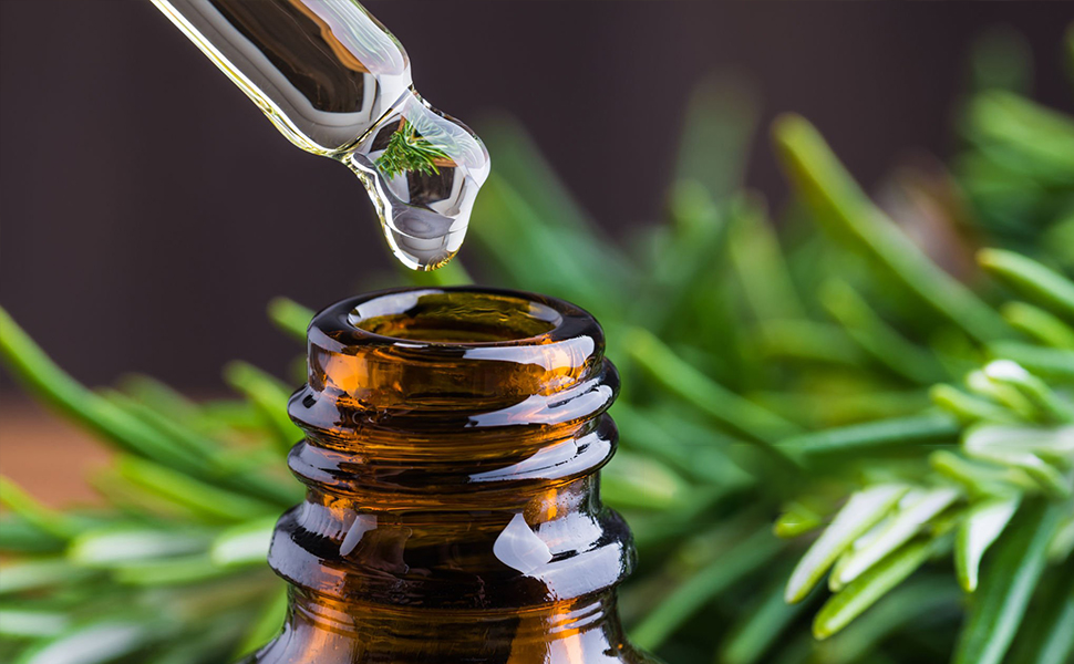 rosemary oil