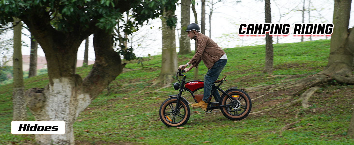 electric mountain bike 