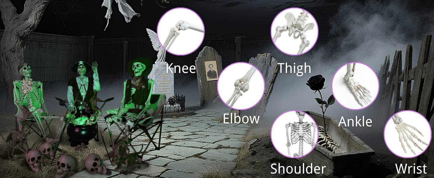 Pirate Life Size Skeleton Poseable