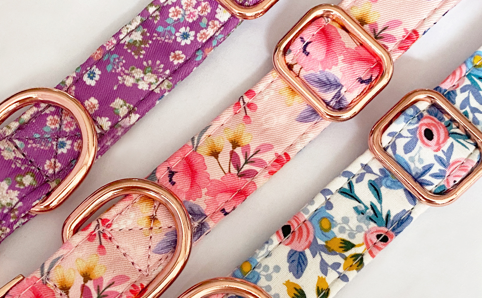 Girl Dog Collar and Leash Set with Flower Bow Tie, Floral