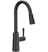Moen 7402BL Riley Single Handle High Arc Pull Down Kitchen Faucet, Matte Black