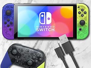 Nintendo Switch Charging Cable