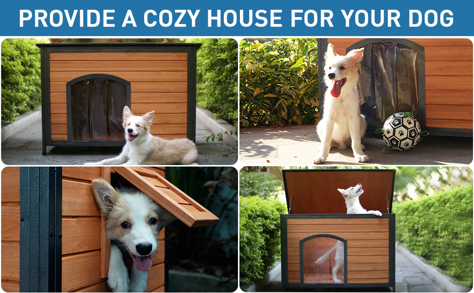 grande niche pour chien