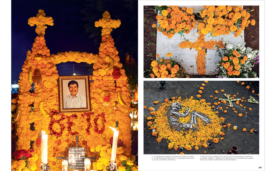 dayofthedead;mexicancelebration;celebration book;holiday;coffee table books;coffee table book;mexico