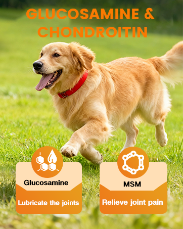 dog hip and joint supplement