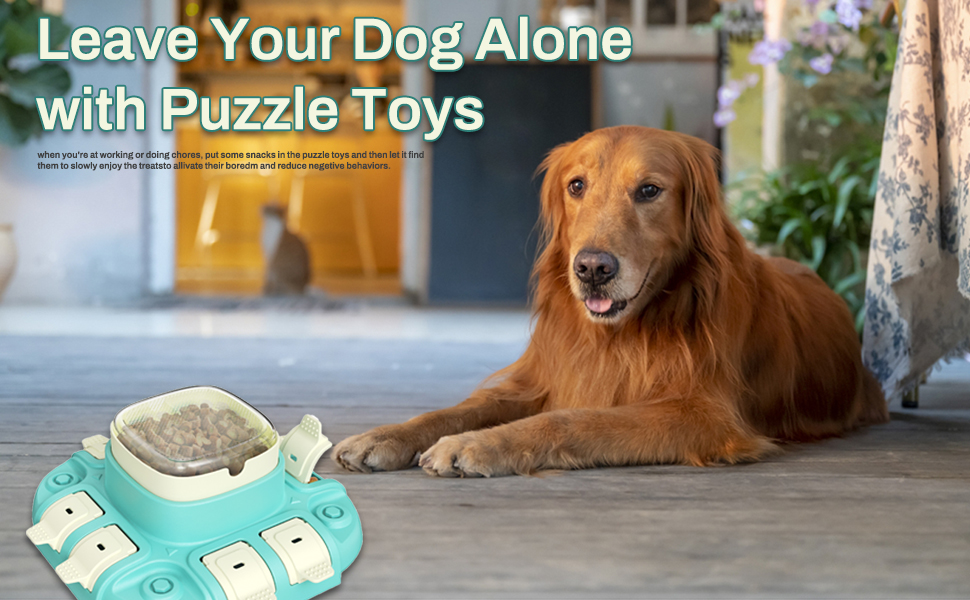 puzzle toy for dog