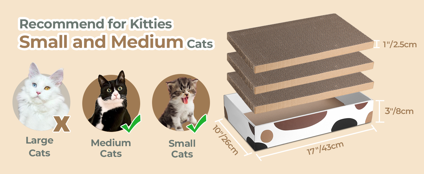 Qin uchun erkalaydi Dik mushuk ichida squelching boladi