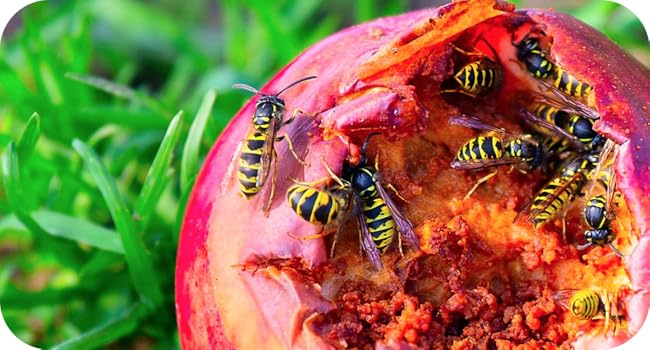 Large manufacture image 7