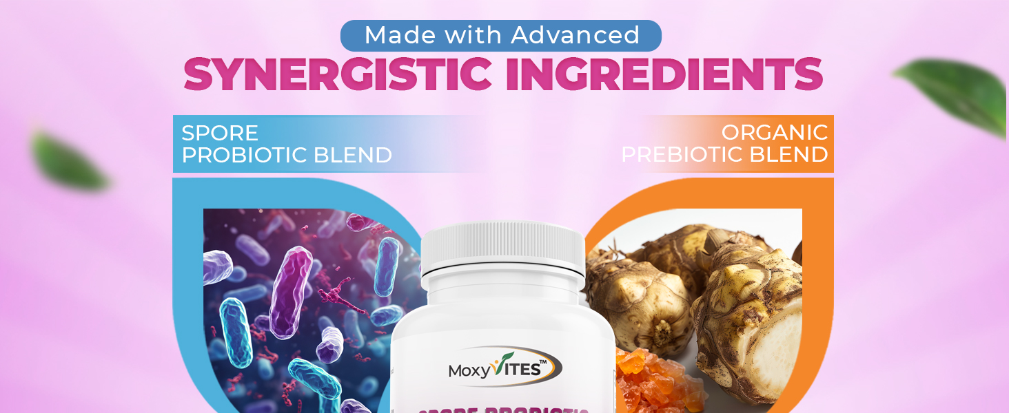 prebiotics for women