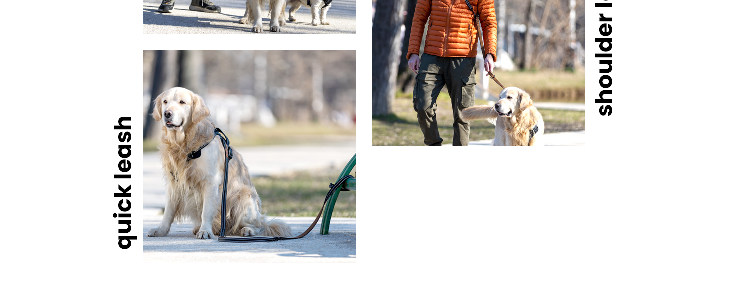 FIRSTPAW Double Ended Lead for Dogs 2m Padded for Comfort