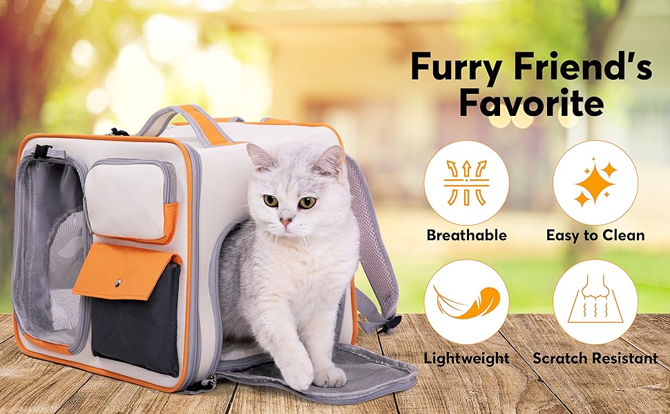 Furry friend's favorite