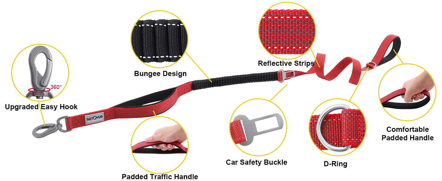 Double Handle Dog Leash