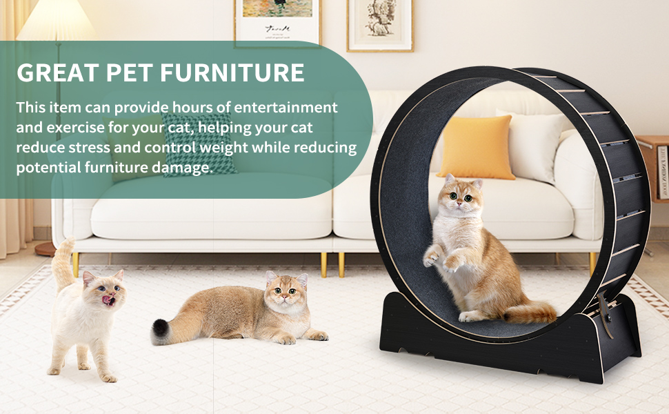 cat wheels for indoor cats