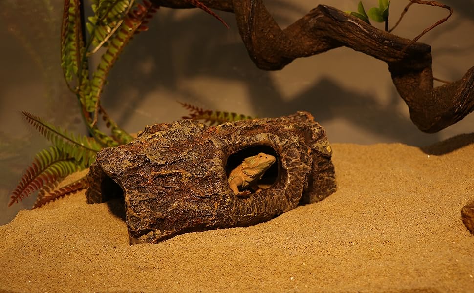 reptile hollow log