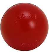 Jolly Pets Push-n-Play Ball Dog Toy, 6 Inches/Medium, Red (306 RD)