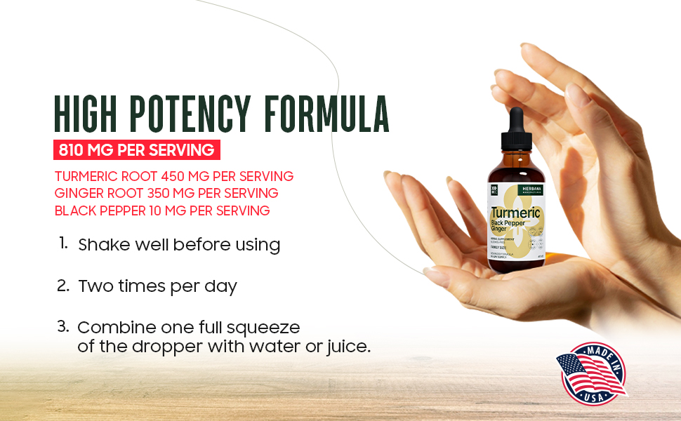 Turmeric 3in1 Liquid Extract 4 fl oz Curcumin & Ginger