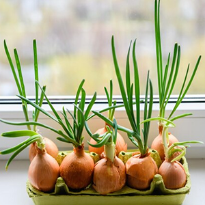 Small manufacture image 2