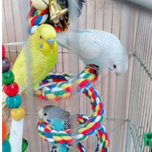 中型インコ用⭐︎止まり木６本+２本おまけ 中型インコ用⭐︎止まり木6本+2本おまけ 71qBOhQ2T7L._UF894