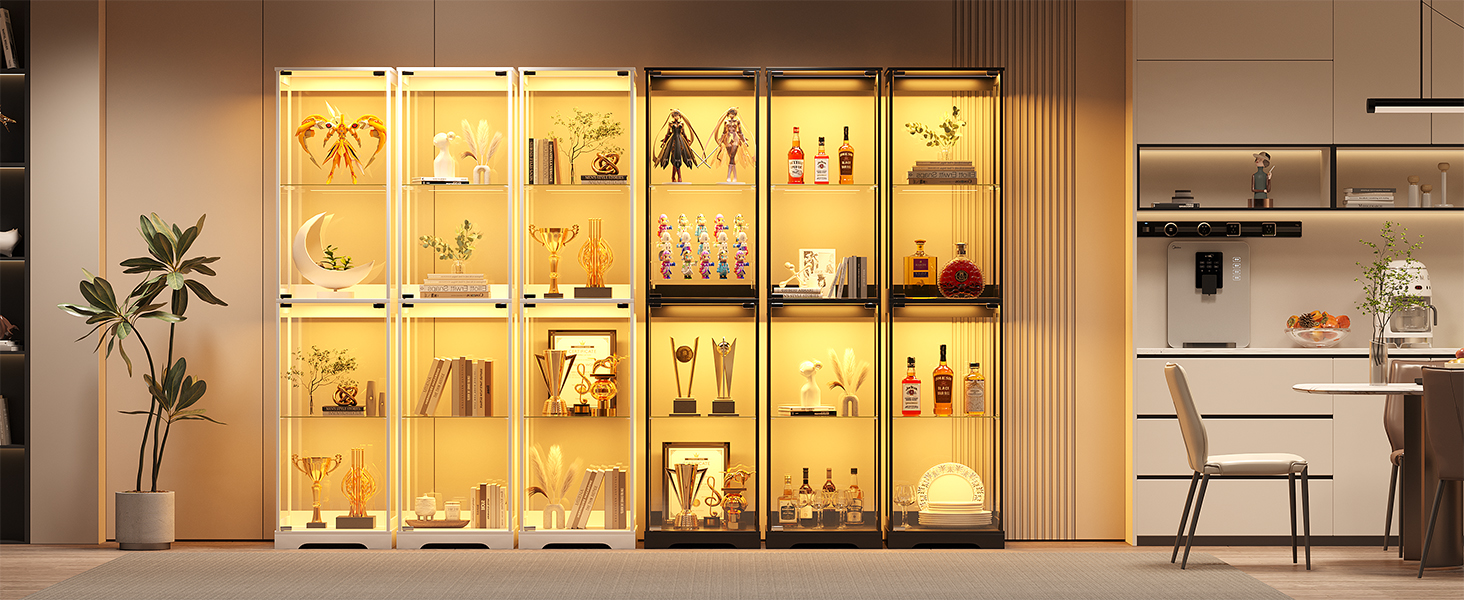 Glass Display Cabinet