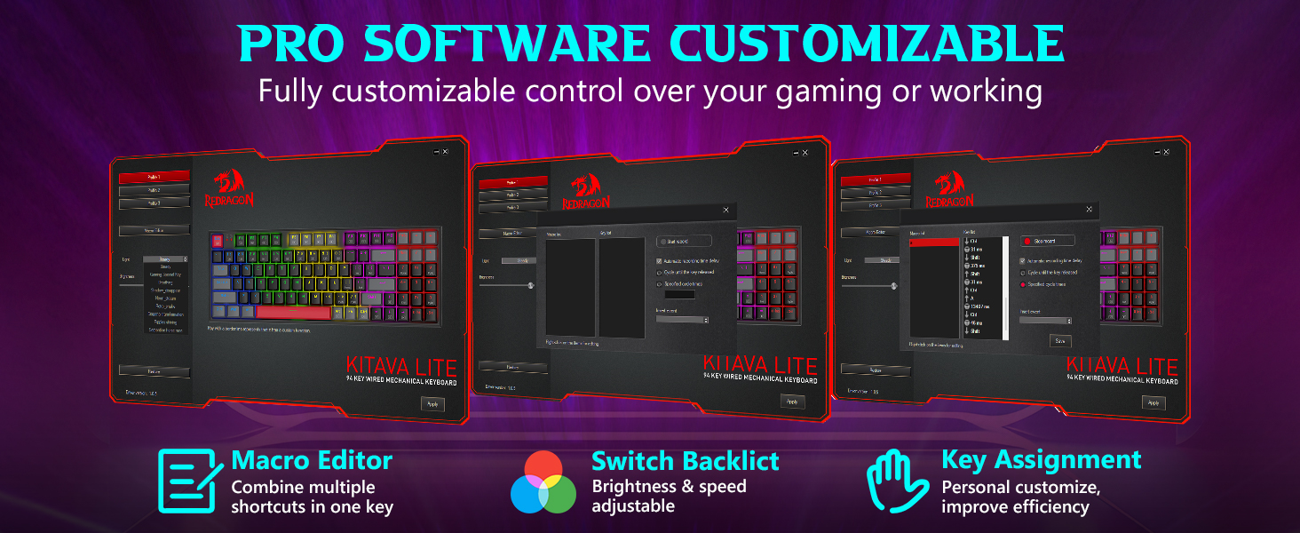 Pro software 