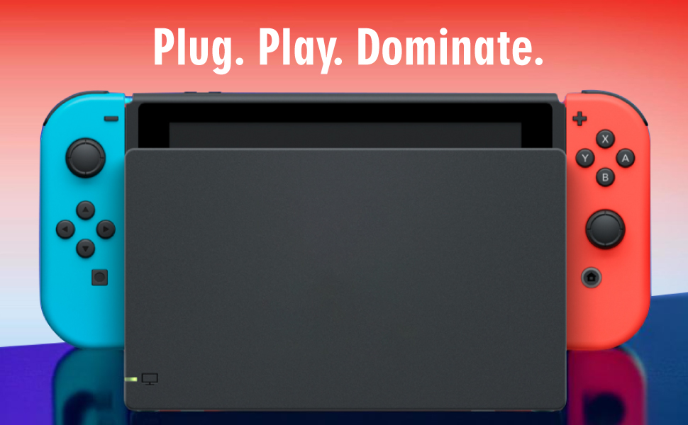 Digital Dynasty V2 Model Nintendo