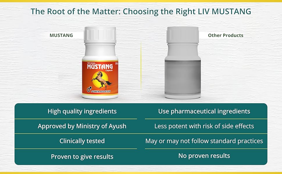 Large manufacture image 6