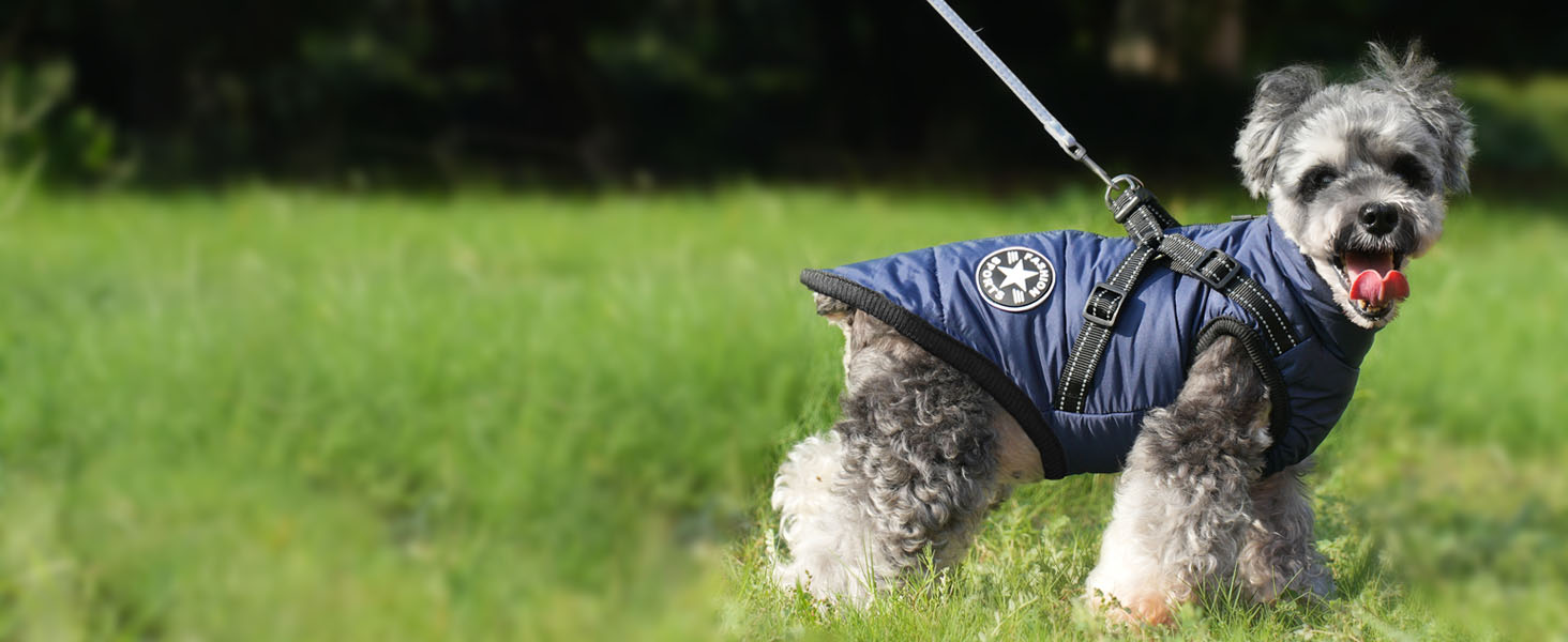 Aywoja winter dog coat with harmess