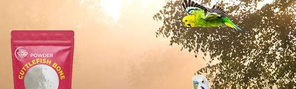 Natural cuttle fish powder