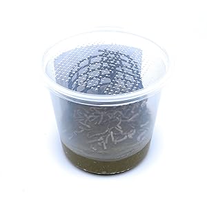 Small manufacture image 2
