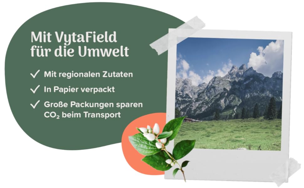 das Plakat zur Präsentation der Berglandschaft