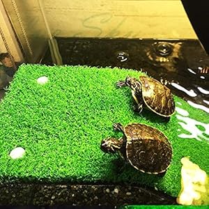 Small manufacture image 6