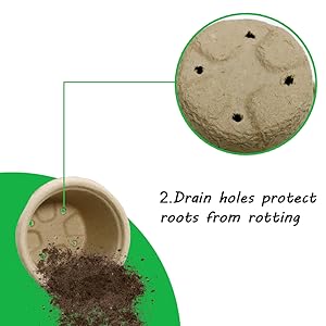 seedling strater pot