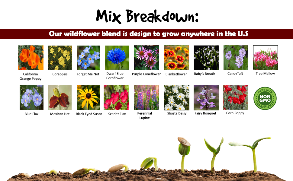 Wildflower Mix Breakdown