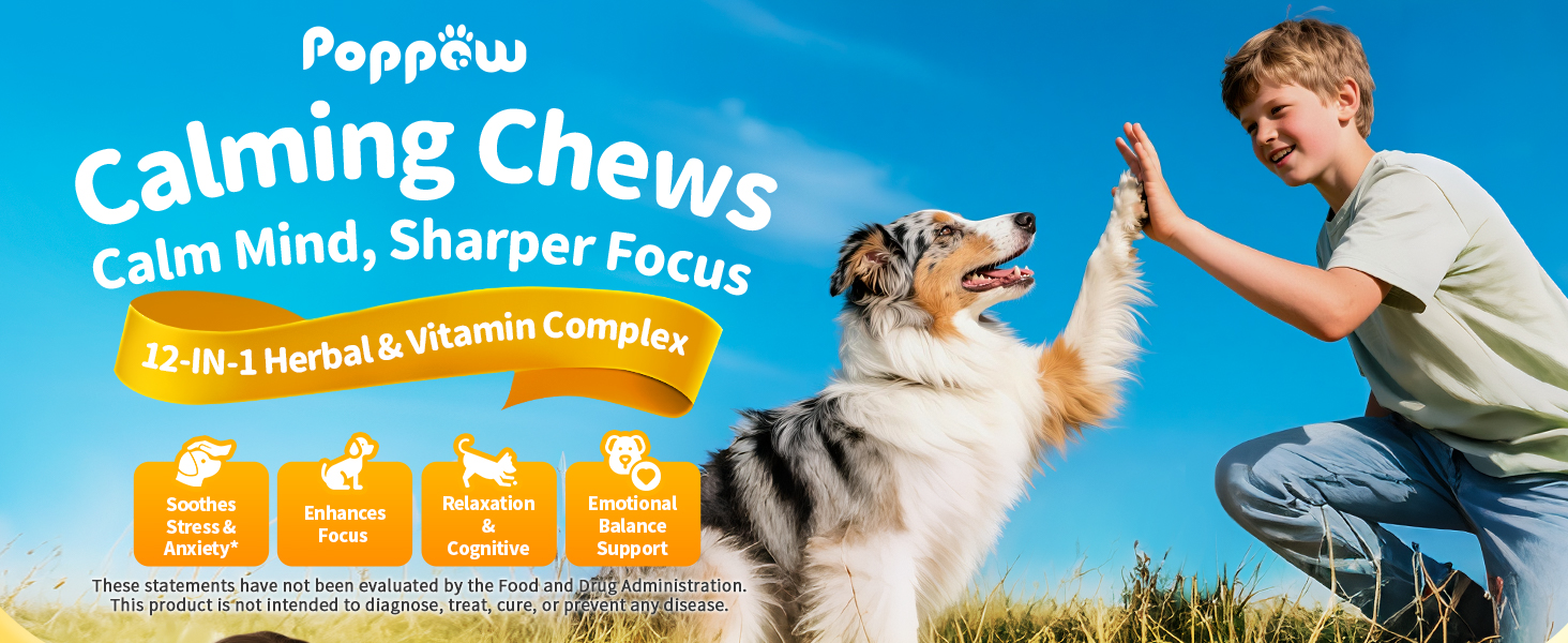 Calming Chews for Dog