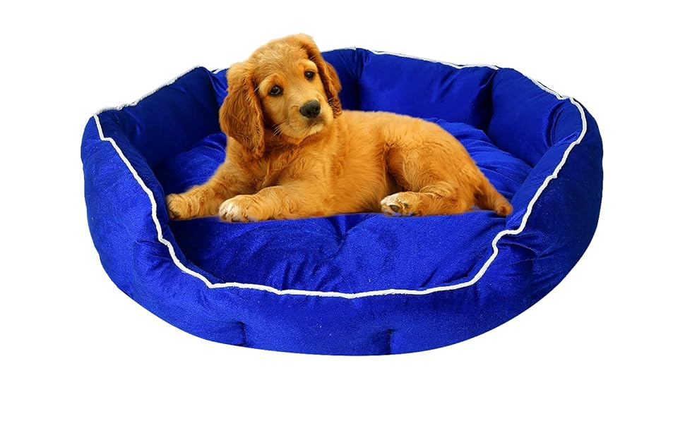 Slatters Be Royal Store Reversible Dual Ultra Soft Velvet Blue Color